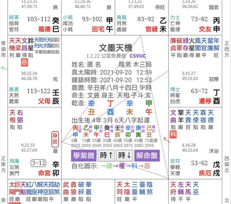 紫微斗数 2024|紫微斗数